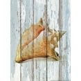 thumbnail image 2 of Nobleworks, Inc. 19x24 Gold Ornate Wood Framed with Double Matting Museum Art Print Titled - Seashell 3, 2 of 4