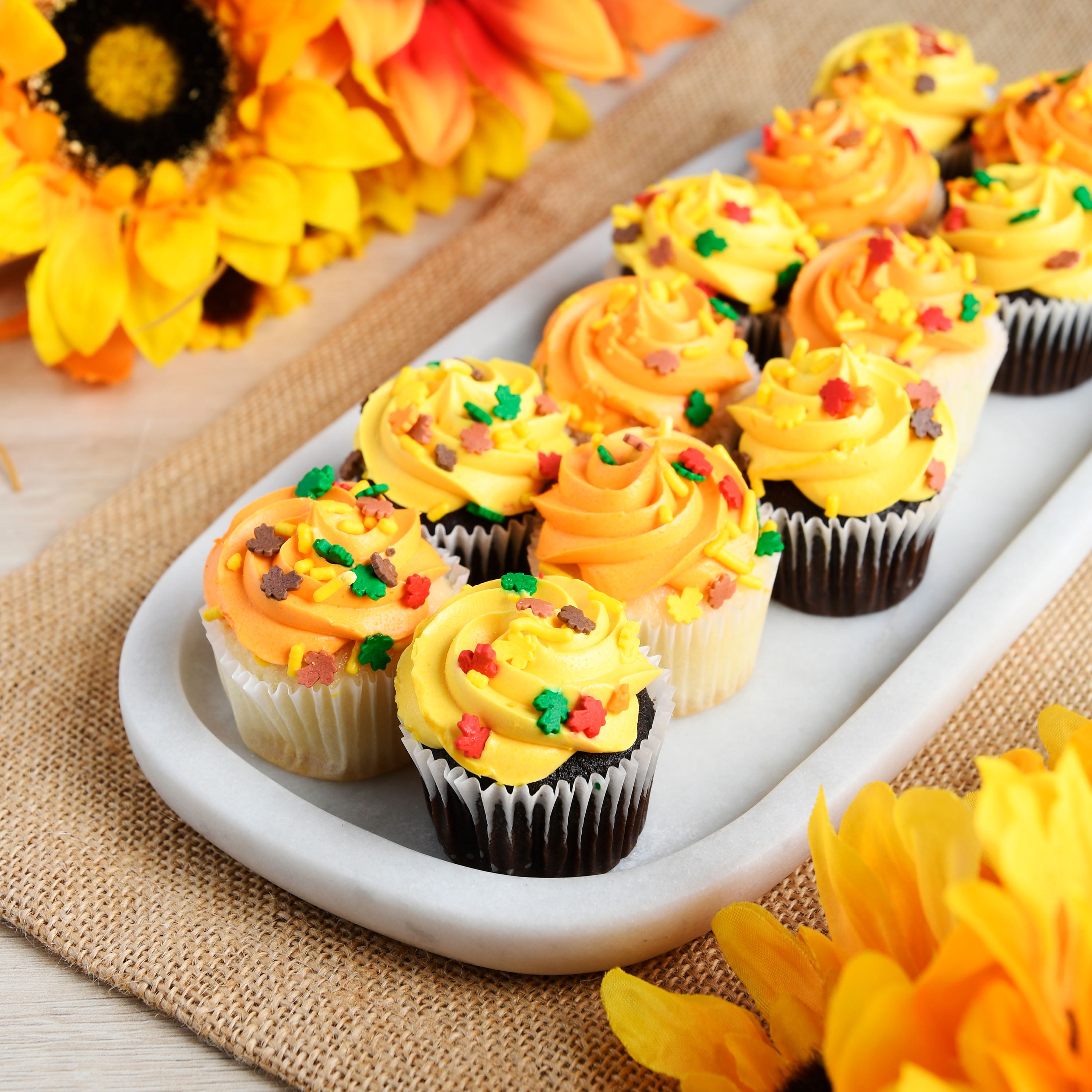 Freshness Guaranteed Fall Vanilla & Chocolate Mini Cupcakes, 10 oz, 12 Count