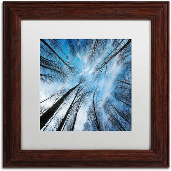 Trademark Fine Art "Blue Crunch" Canvas Art by Philippe Sainte-Laudy White Matte, Wood Frame