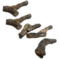 thumbnail image 4 of MasteelfCA 5pcs Fossil Specimens Stromatoporoid Fossils Science Decoration (Random Style), 4 of 7