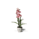 thumbnail image 1 of Planta Artificial JARDECO D-KOMANIA Planta Artificial, 1 of 1