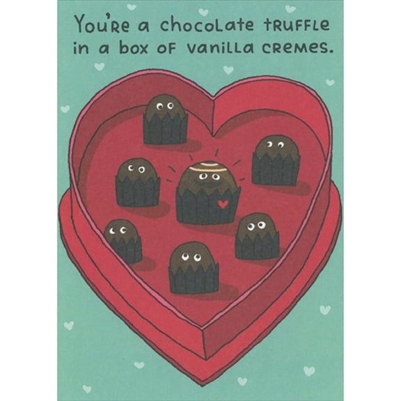 RSVP You're a Chocolate Truffle in a Box of Vanilla Cremes Funny / Humorous Valentine's Day Card