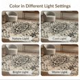 thumbnail image 7 of ODIKA 8'x10' Ultra-Soft Area Rug, Modern Farmhouse Boho Medallion With Distressed Diamond Lattice Border None Washable, Bare feet friendly, Silk-Touch for Bedroom, Under Sectional, 7 of 7