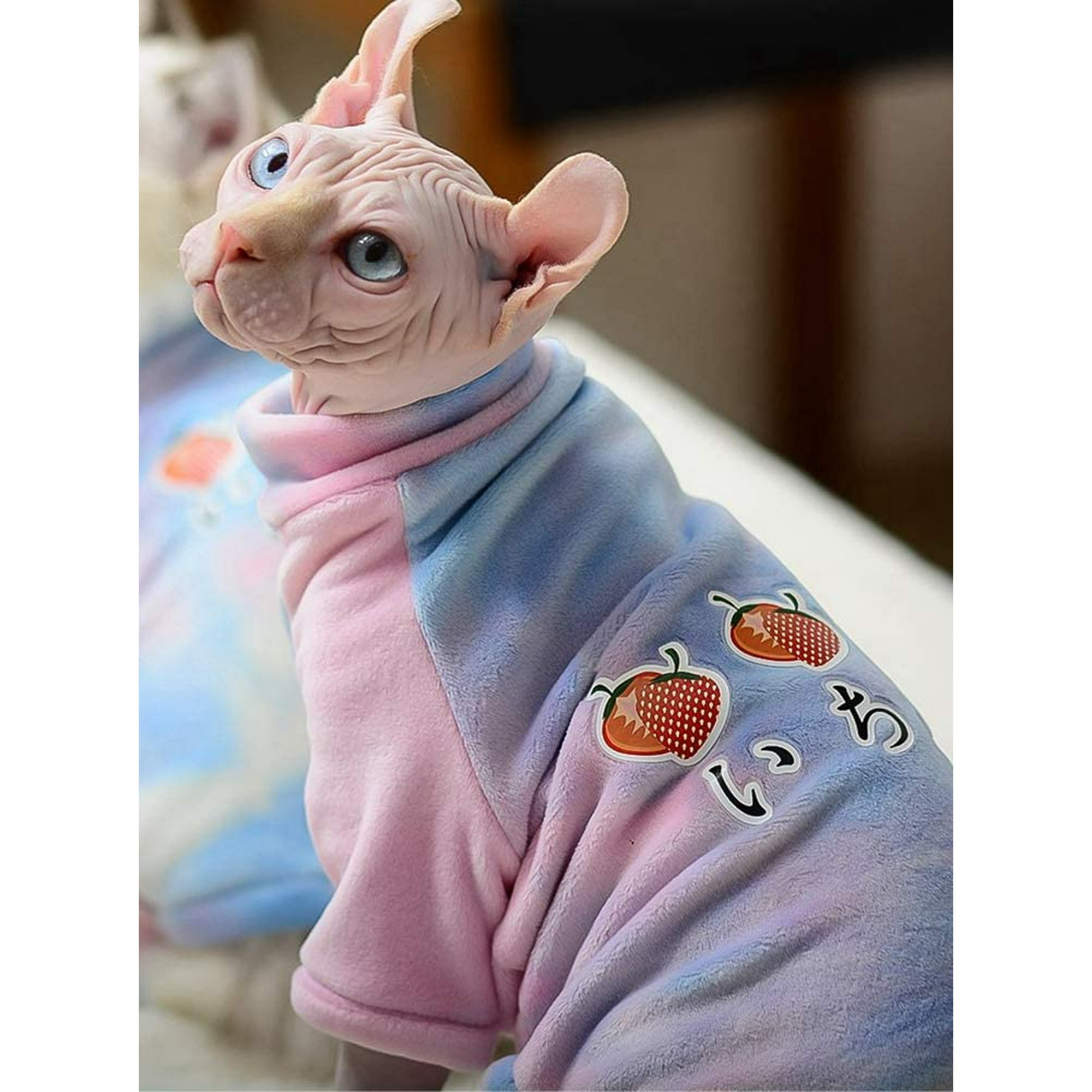 Chandail en Coton pour Chats Sans Poils Chemise Respirante Automne Hiver Chaud Vetements pour Chats Gilet Col Roule Vetements pour Sphynx Cornish
