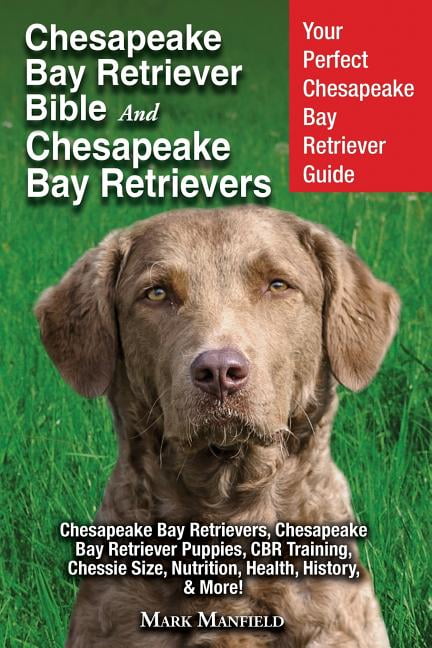 chesapeake bay retriever apparel