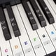 thumbnail image 1 of Pegatinas de piano de colores para 37, 49, 54, 61, 88 teclas, pegatinas de piano de colores pegatinas de notas de piano de repuesto para teclado para niños principiantes, transparente Sincero Hogar, 1 of 5