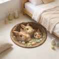 thumbnail image 4 of Decorative Area Rug Custom Easter Bunny Round Rug Personalized 3D Effect Easter Day Carpet Non Washable Bunny Area Rug for Living Room Bedroom Birthday Indoor Home Decor Spring Day Rug,Area Rug,Floor, 4 of 7