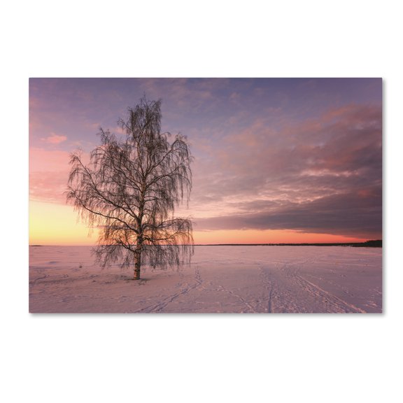 Trademark Fine Art 'Majesty of Nature' Canvas Art by Philippe Sainte-Laudy
