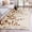 Burnt Orange, variant on Round Area Rugs Collection 5 Ft, Blue Eucalyptus Non-Slip Residential Carpet, Farmhouse Weeping Leaves Linen Indoor Crawling Mats Runner Rugs for Living Room/Dining Room/Bedroom
