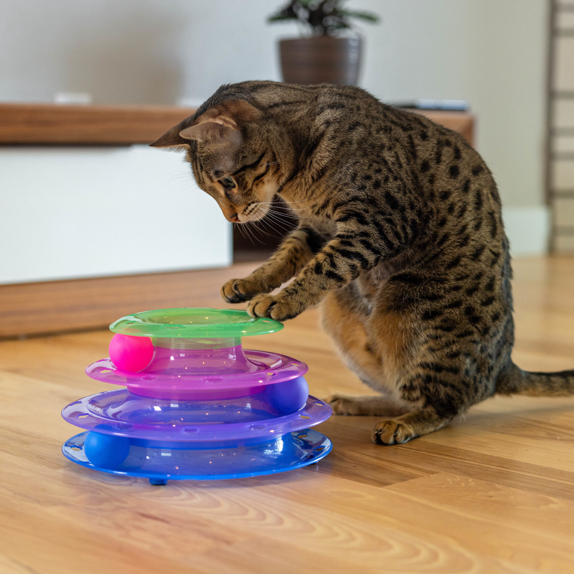Catstages Meowsome Tower of Tracks Interactive Cat Toy photo 7