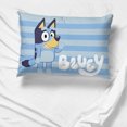 thumbnail image 4 of Bluey et Bingo Housse de Coussin Double Face Lot de 1, 4 of 4