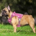 thumbnail image 2 of Arnés para perros Beebiepet Heavy Duty Tactical para perros medianos, 2 of 5