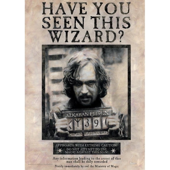 MightyPrint Harry Potter 'Sirius Black' Graphic Art Print MP17240172