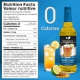 thumbnail image 3 of Syruvia Honey Lime Sugar Free Cocktails Syrup 25.4 Fl Oz With Pump, 3 of 7