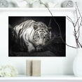 thumbnail image 1 of Design Art - White Tiger, 1 of 4