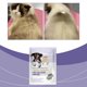thumbnail image 5 of Guantes de limpieza para mascotas, toallitas desechables para el cuidado del cabello con extractos naturales, limpieza suave de la piel para perros y gatos, desodorizante con aroma a limón, fórmula, 5 of 7