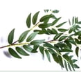 thumbnail image 3 of Flowers Rattan Hanging Greenery Leaves for Home Decoration Wedding/Event 1 PCS 170CM Length, 3 of 5