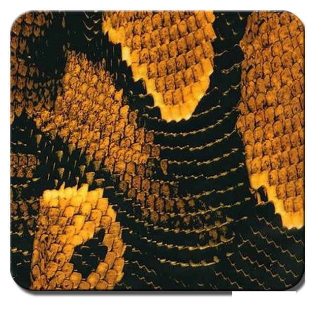 Hydrographics Film, 0.5Meter Width -Water Transfer PrintingHydro Dipping Film -Animal texture-Multi-color Optional ,Easy to Use