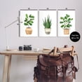 thumbnail image 3 of Stupell Minimal Potted Plants Botanicals Botanical & Floral Painting Wall Plaque Unframed Art Print Wall Art, Set of 3, 3 of 7