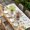 white, variant on Thanksgiving Eucalyptus Table Cloths for 4 Foot Rectangle Tables, Autumn Flowers Fall Birds Plants Patio Waterproof Elastic Fitted Tablecloths, Washable Rectangular Table Cover for Camping