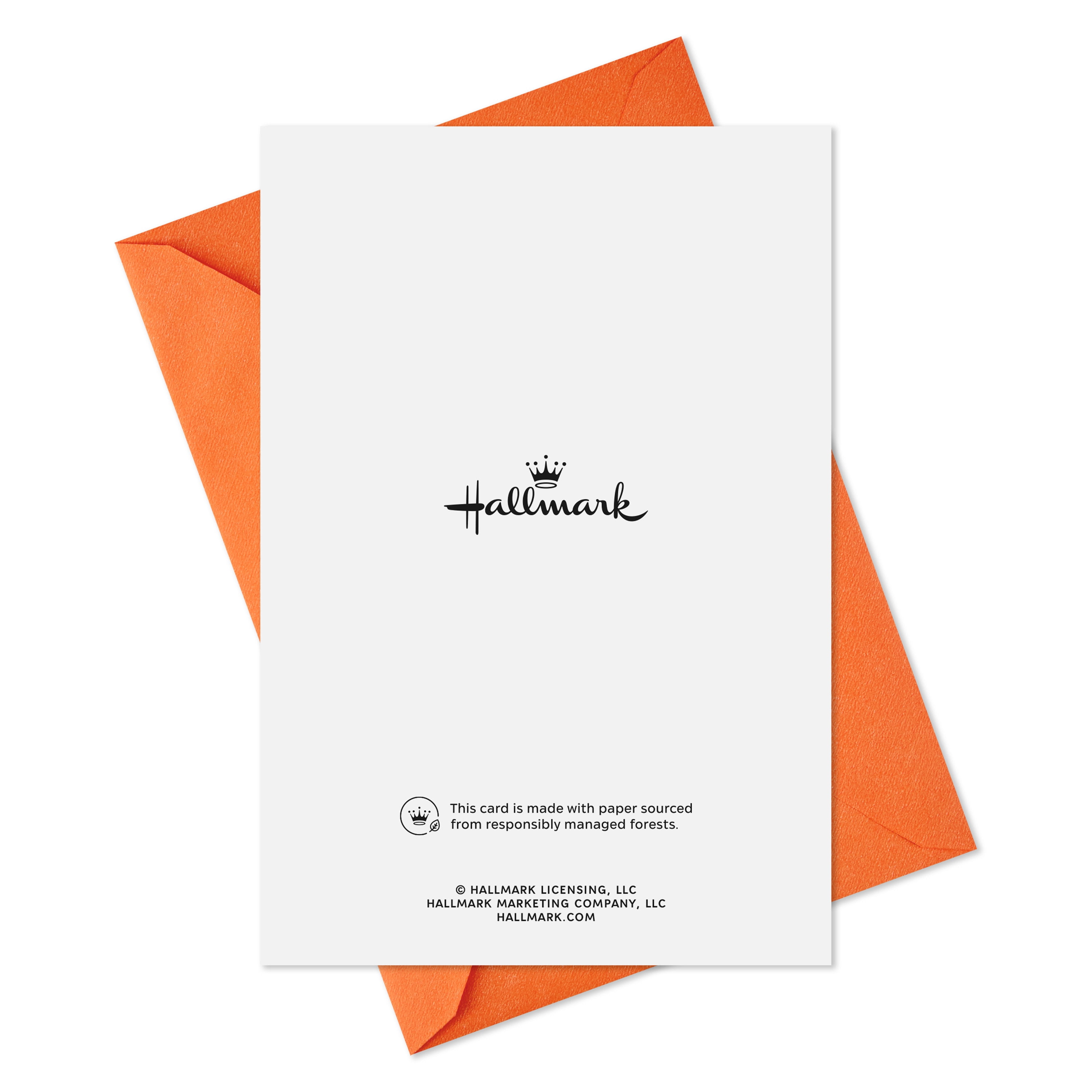 Hallmark Halloween Cards (Friendly Little Boo Ghost), 6 Count