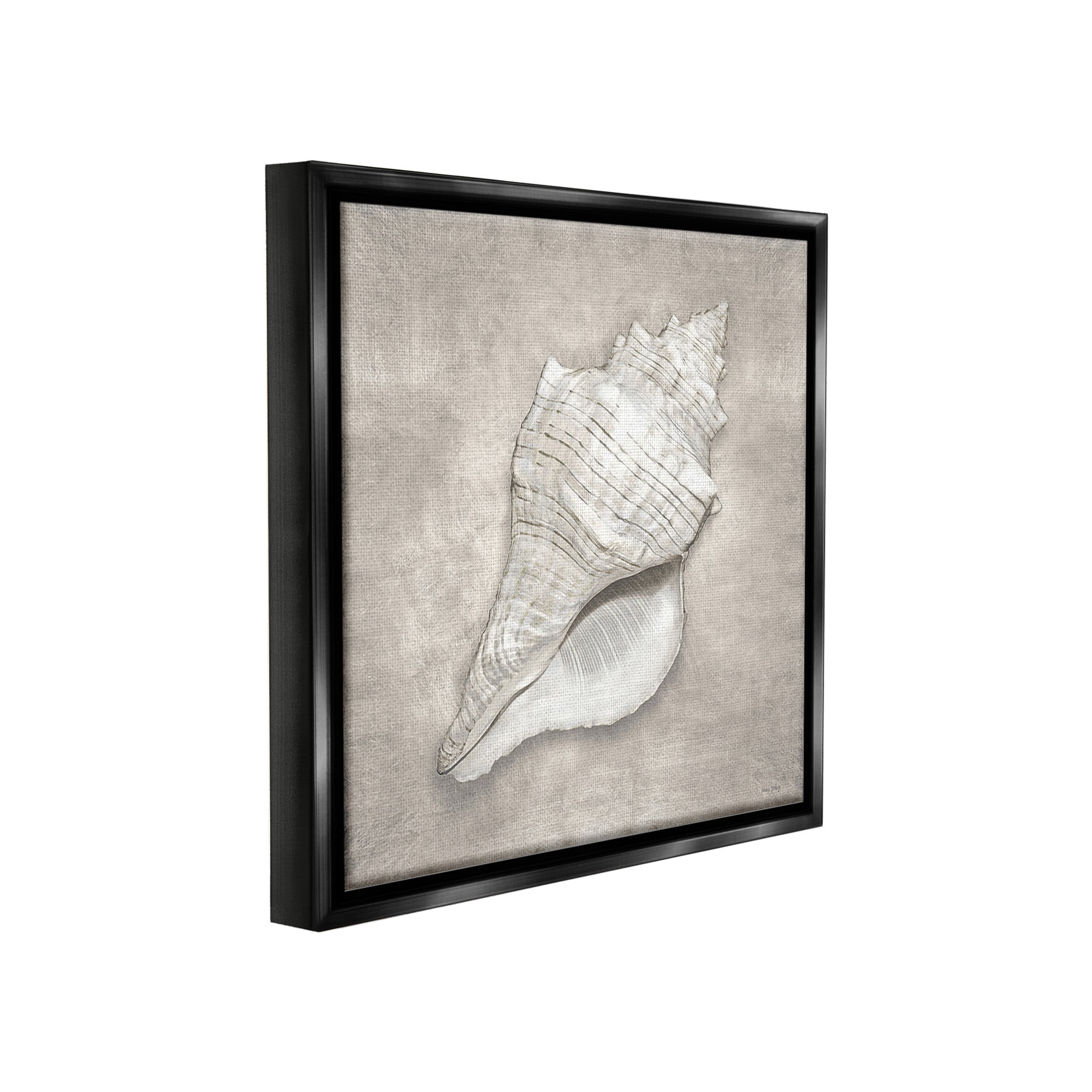 Stupell Industries Rustic Grey Conch Shell Nature Painting Black Floater Framed Canvas Art Print Wall Art, 25 x 25