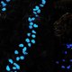 thumbnail image 5 of Piedras luminosas para jardín, guijarros que brillan en la oscuridad, 300 piezas, rocas, pasarelas, decoración de hadas, bricolaje, 5 of 5