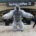 thumbnail image 4 of Mascota inflable gigante de gorila King Kong de 2 a 3 m para adultos que camina, disfraz de actuación, ceremonia publicitaria para fiestas de Navidad, 4 of 5