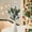 B, variant on VVQ Artificial Green Branches Rattan Cones Christmas Wall Pendants, Simulation Pine Branches Cones for Holiday Scene Layout, Festive Decor Props for Christmas Party Home Wall Hanging