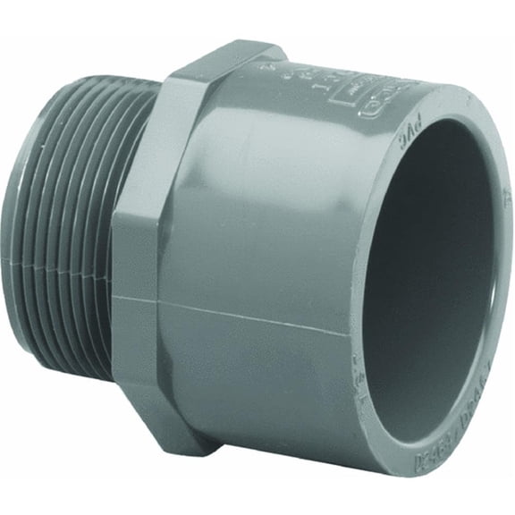 Charlotte Pipe Male Adapter Sch 80 Pvc 2 "