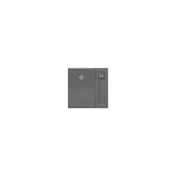 Legrand ADPD453LM2 Pass & Seymour Paddle Dimmer Switch, Magnesium, 450-Watt - Quantity 2