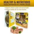thumbnail image 3 of Fish Meister Tuna fish in Olive Oil contain Omega-3 - Premium Tuna Fish Deliver Rich Taste for Seafood Lovers - 160g, 3 of 6