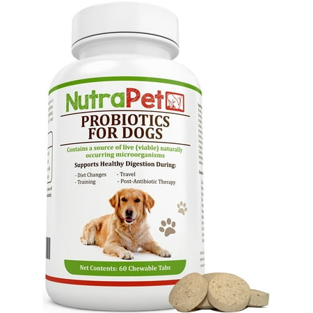 Probiotics for Dogs - Promotes Digestive Health - Boosts Immune System - Probiotics for Cats - Pet Powder Probiotics - Bowsers