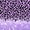 Leopard Print 07, variant on Homewish Purple Cheetah Print Twin Bedding for Girls, Princess Glitters Printed Bedding Comforter Set, Black Reversible, 7 Pieces