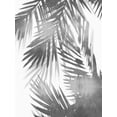 thumbnail image 2 of Miller, Melonie 25x32 White Modern Wood Framed Museum Art Print Titled - Palm Shadows IV, 2 of 4