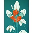 thumbnail image 1 of Abstract Snowdrops Red Flowers on Teal Retro Mid Century Style Unframed Wall Art Print Poster Home Decor Premium, 1 of 4