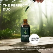 Betterbrand Mullein Drops for Lung Detox - Mullein Leaf Tincture with Chlorophyll - Helps support respiratory health, Alcohol-Free, 1 month supply - 60ml