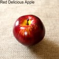 thumbnail image 5 of Visland 5Pack Lifelike Fruit Realistic Artificial Fake Fruit Home Christmas Party Decorationfor Fake Fruit Bowl, Home Kitchen Table Cabinet Party Decor Photography Prop-Random Style, 5 of 8