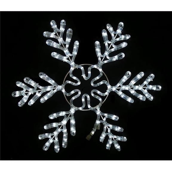 Queens of Christmas WL-SFICE-24-PW 24 in. Pure White Ropelit Snowflake Ice Light