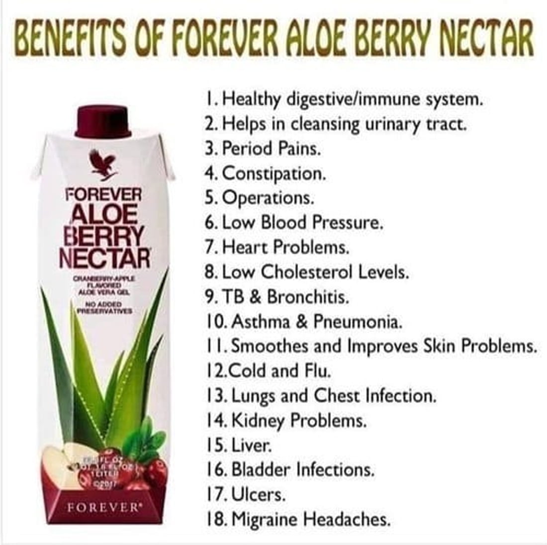 Goodwill kommentar Luftpost Forever Living Aloe Berry Nectar Juice 33.8oz Each Delicious Drink 91% Aloe  Vera Inner Leaf Gel (Pack of 2) - Walmart.com