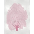 thumbnail image 2 of Miller, Melonie 19x24 White Modern Wood Framed Museum Art Print Titled - Sea Fan Pink Blush II, 2 of 4