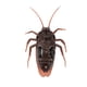 thumbnail image 1 of Juguete de Cucaracha falsa con control remoto, Insectos DiverTidos y Aterradores para Niños, Control Por Infrarrojos, Broma de Halloween, Regalo de NaviDad, 1 of 7