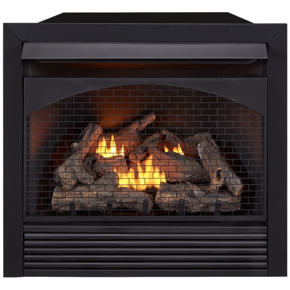 Procom 32" Zero Clearance Gas Fireplace Insert with Remote Control Model FBNSD32RT