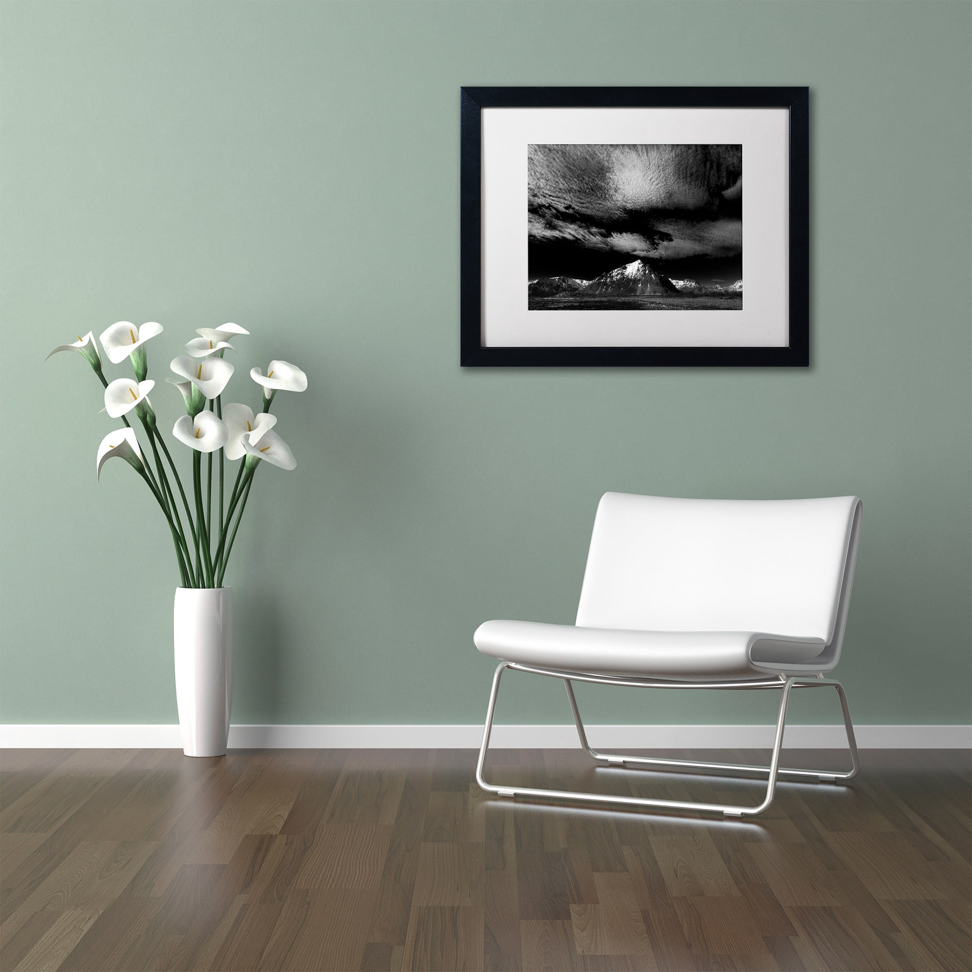 Trademark Fine Art "Space Invaders" Canvas Art by Philippe Sainte-Laudy White Matte, Black Frame
