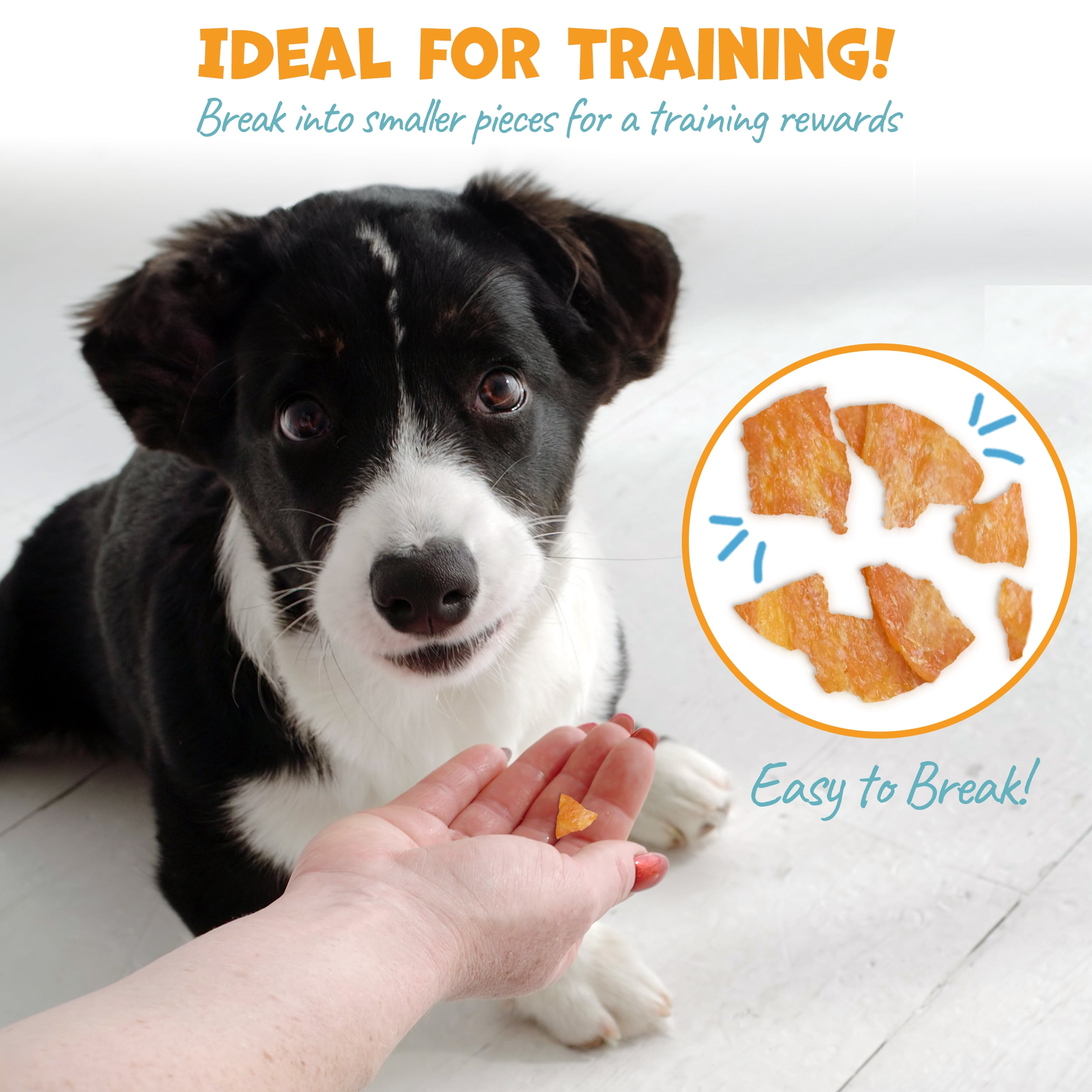 Pack Approved Chicken Training Treats for Dogs, 12 oz Bag