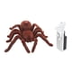 thumbnail image 1 of Araña de control remoto Zulema juguete de broma realista con control remoto RC, 1 of 8