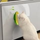 thumbnail image 4 of Cepillo de Limpieza para Gatos con Forma de Guisante | Rascador Masajeador con Hierba Gatera | Cerdas Suaves de Plástico para Eliminar El Pelo Suelto | Fácil de Instalar y Limpiar | Juguete de Interi, 4 of 6