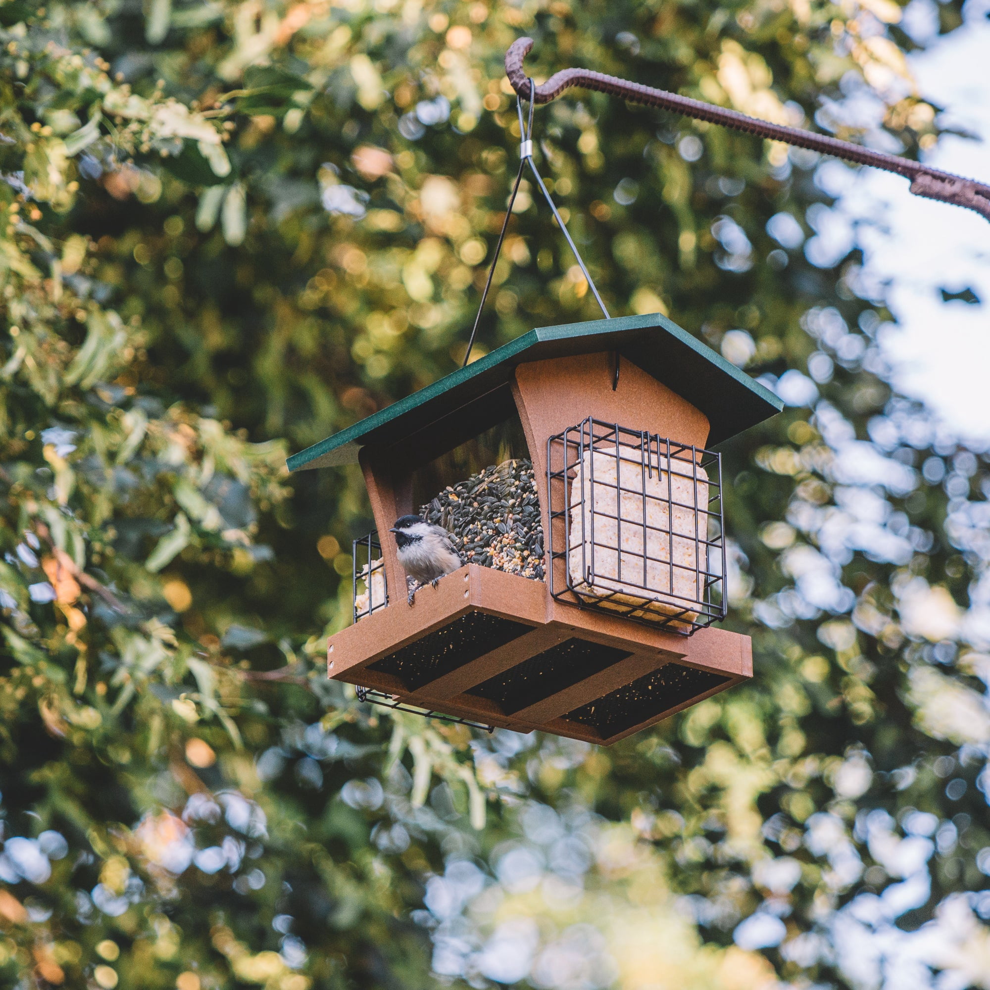 Backyard Expressions SIERRA Plastic Lumber Bird Feeder w/ Suet Cages