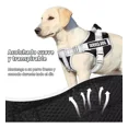 thumbnail image 3 of Pechera Arnés Para Perro Con Correa Y Reflectantes Seguridad, 3 of 7