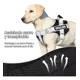 thumbnail image 3 of Pechera Arnés Para Perro Con Correa Y Reflectantes Seguridad, 3 of 7